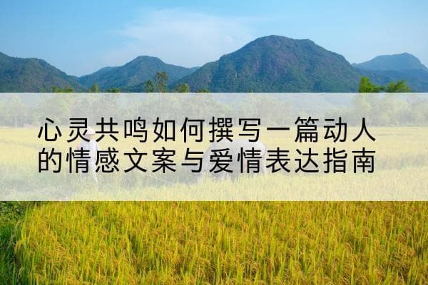 心灵共鸣：如何撰写一篇动人的情感文案与爱情表达指南