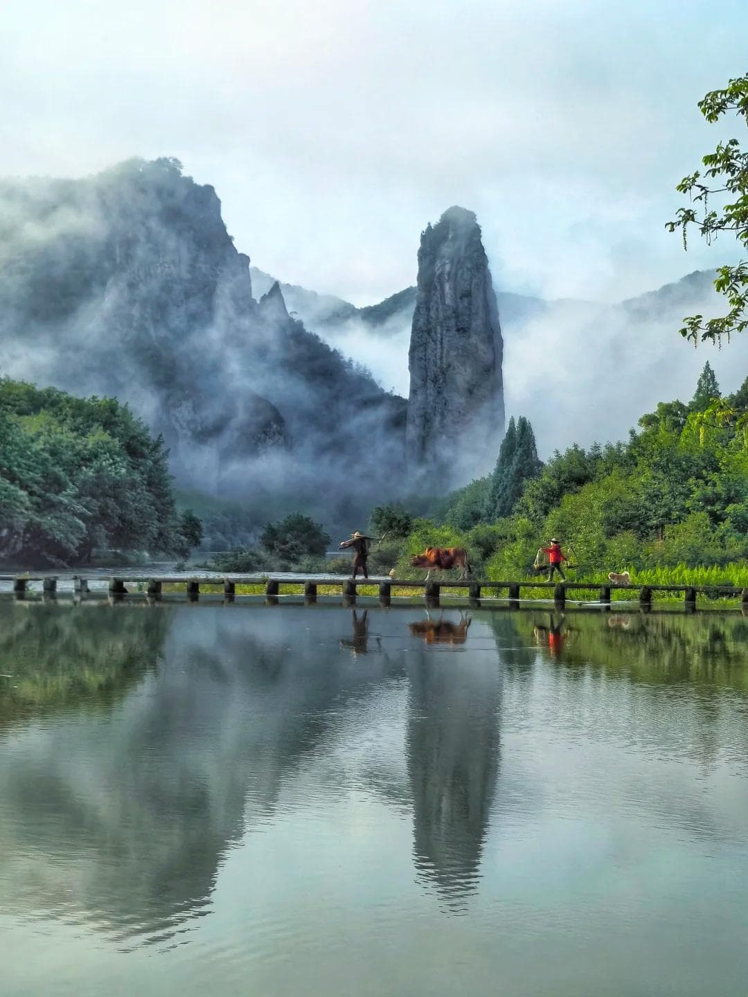 浙江丽水：影视剧取景地里的5A级景区宝藏