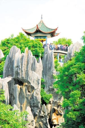 清凉石林 火热暑期