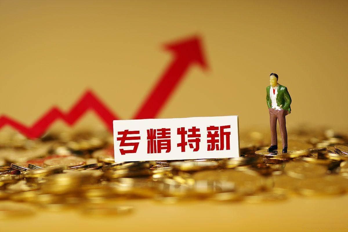 咨询公司如何为专精特新认证企业提供的专业咨询服务