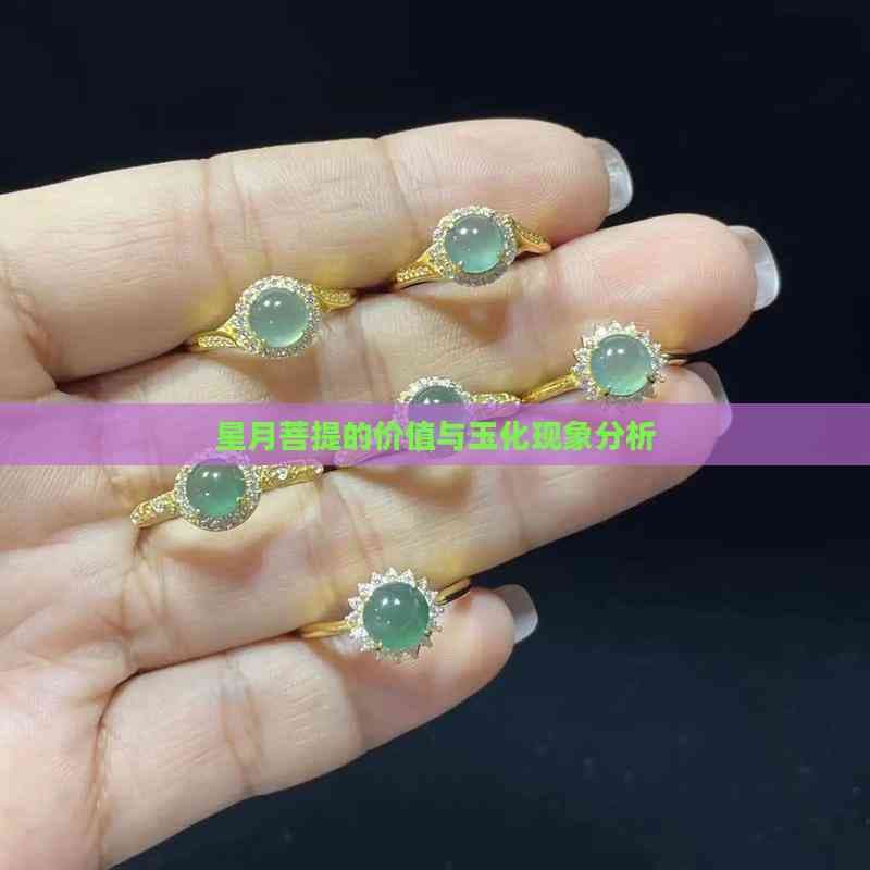 星月菩提的价值与玉化现象分析