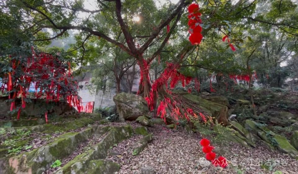 四川泸县玉蟾山千年神龟石：自然与生命的奇妙杰作