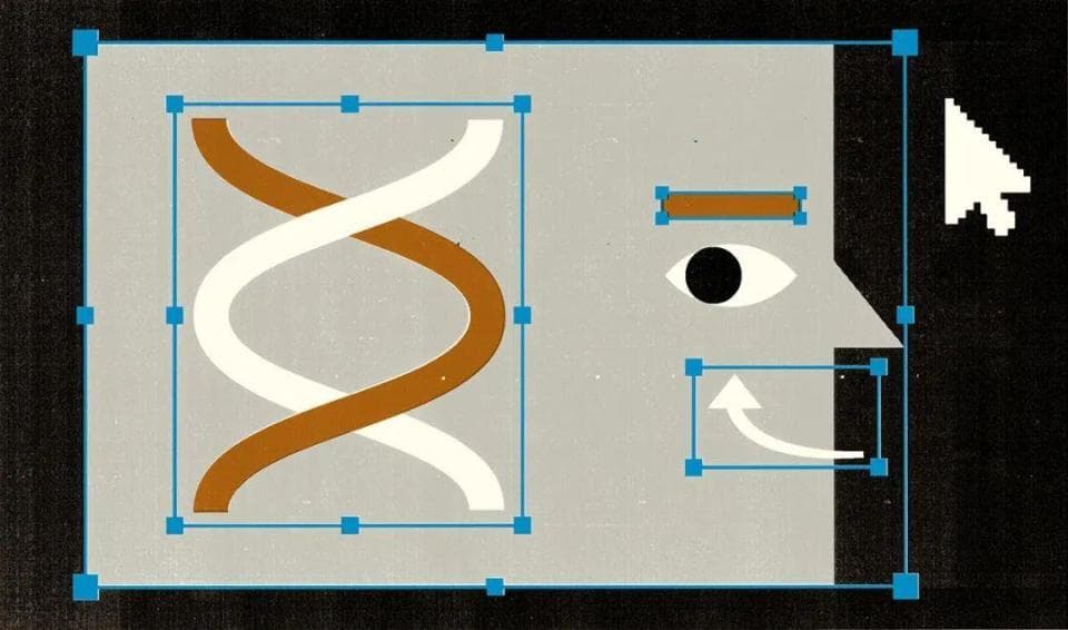 科学绘图，怎么才能让读者眼前一亮又一亮？ | 《自然》长文