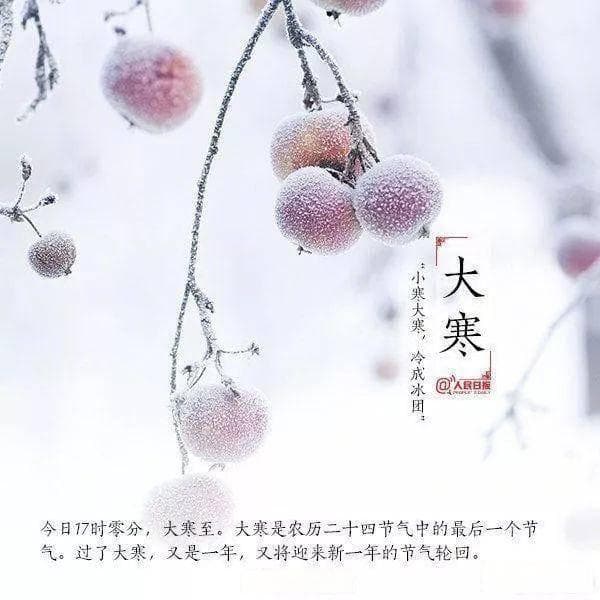 明朝换新律，梅柳待阳春。大寒经典古诗词集锦