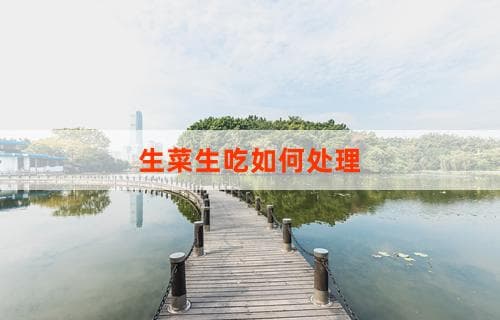 生菜生吃如何处理：简单方法与注意事项