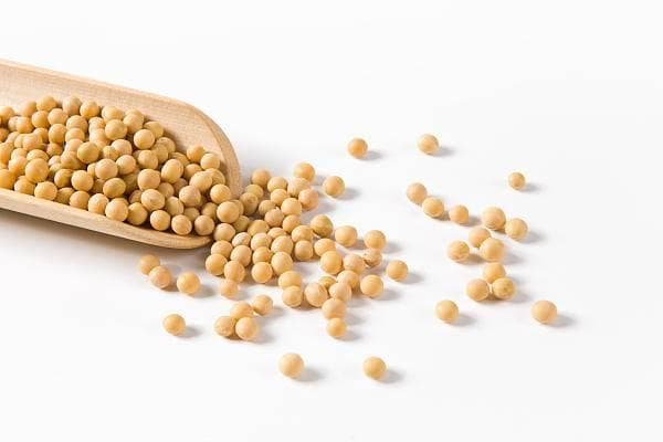 痛风、肾功能不全、乳腺炎患者到底能吃豆制品吗？|网红说法求真