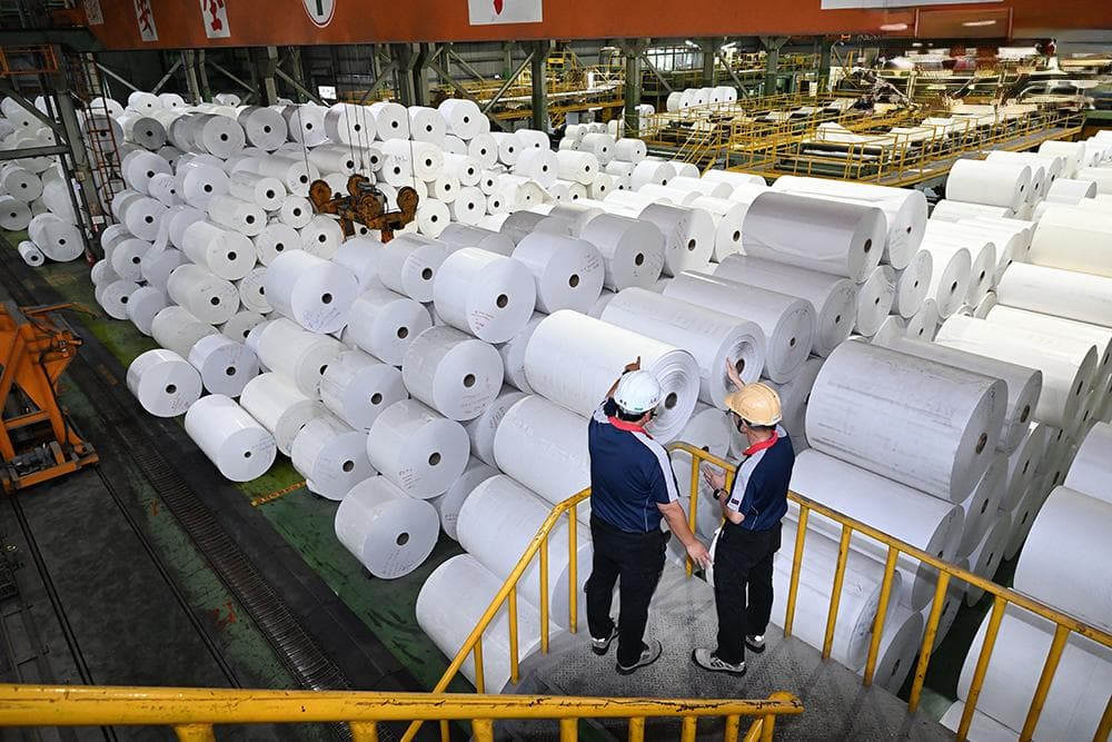 全纸回收、AI生产 纸业的永续新转机
