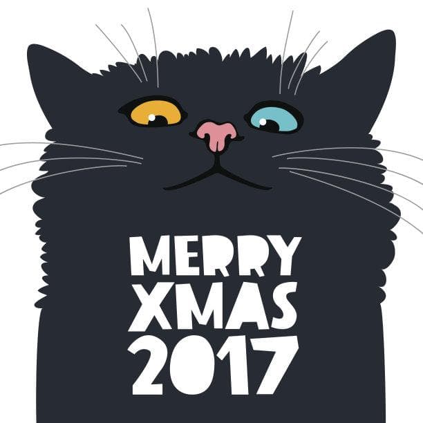 猫咪营养：如何为你的宠物提供均衡健康饮食