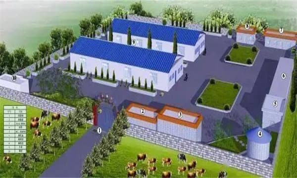 肉牛场要建立哪些基本防疫措施 需注意哪些问题