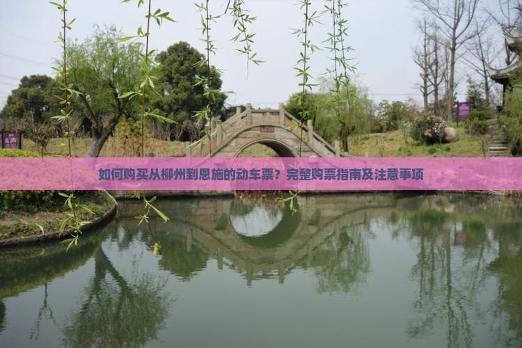 如何购买从柳州到恩施的动车票？完整购票指南及注意事项