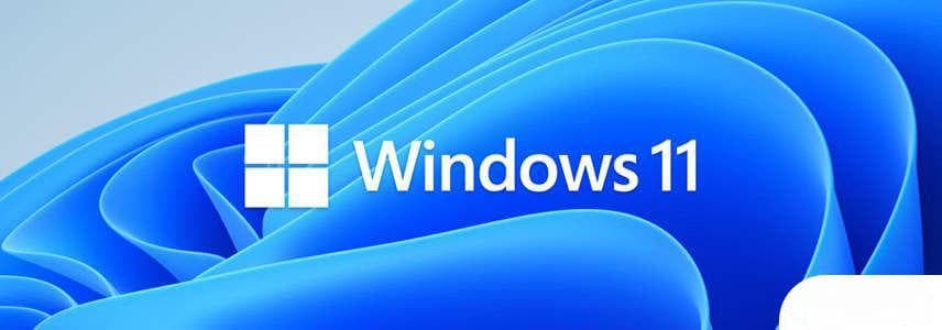 win11开启局域网共享目录 Win11文件分享教程