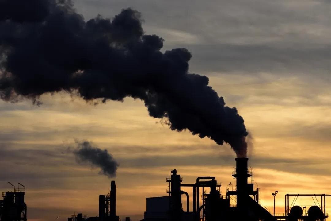 CO₂变葡萄糖？看中国团队如何 “点石成金”
