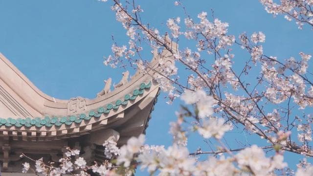 武大最新回应，时间定了！