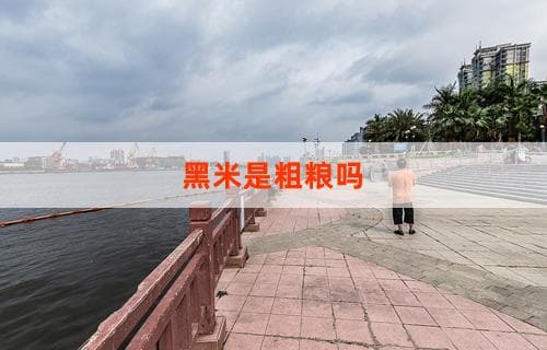 黑米是粗粮吗？解析黑米的营养特点