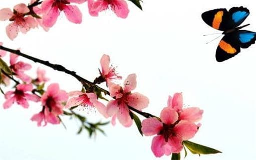 两个人名字笔画算缘分及关系分析 笔画与缘分关系了解