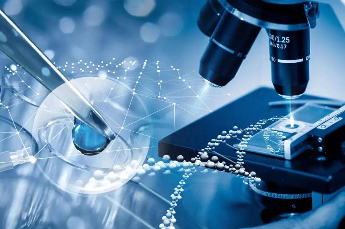 基础科学研究中实验与理论关系探析