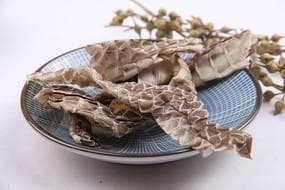 中医药文化里的蛇