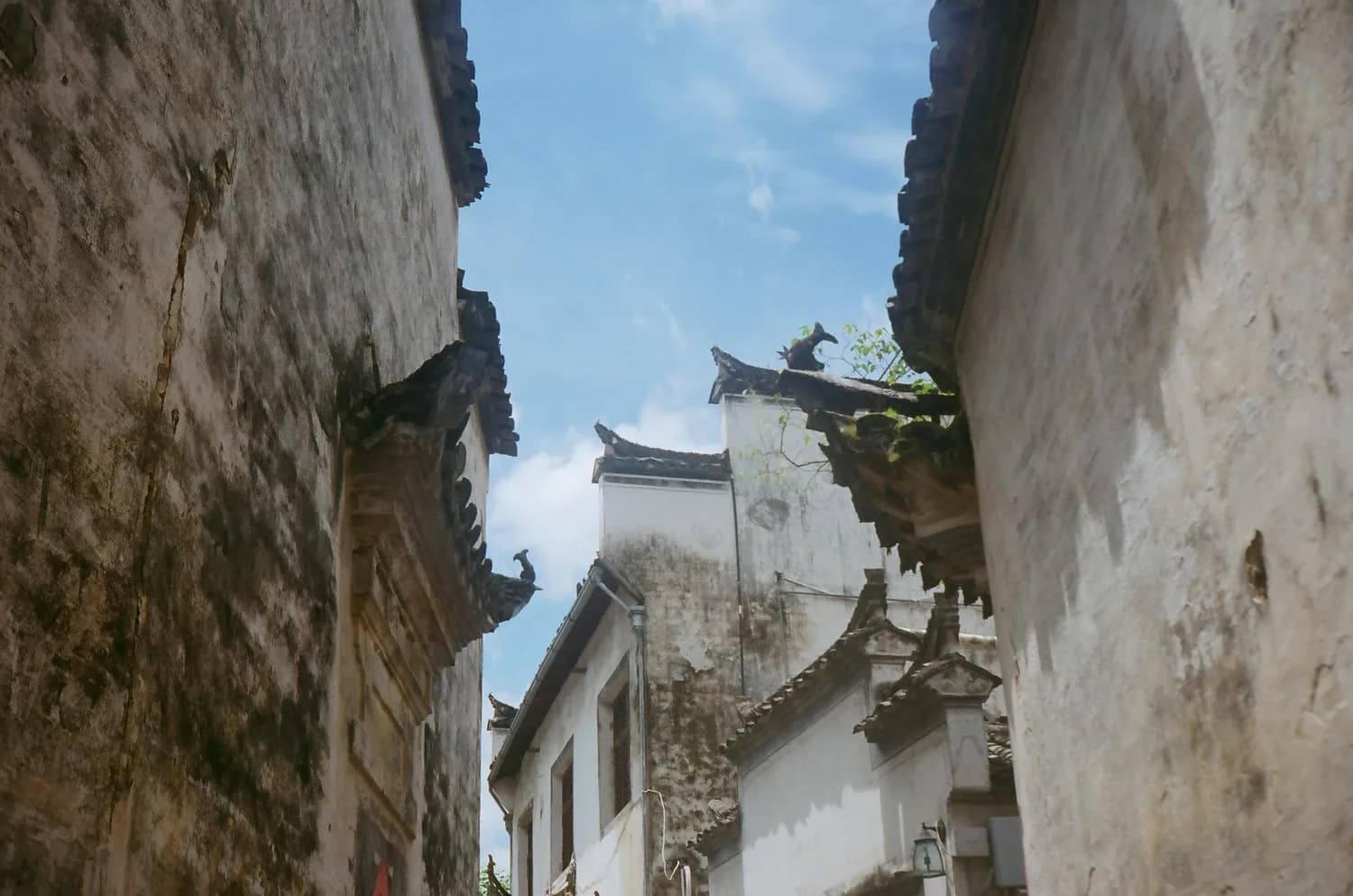 邓屋村“一门五杰”：东莞文化的骄傲