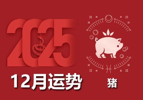 属猪人2025年农历12月运势及运程详解(2026年阳历1月)