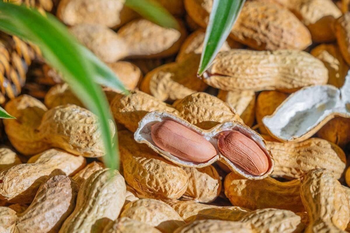 花生能控制血糖？专家提醒：它有4大好处、3个风险，吃对了才有益