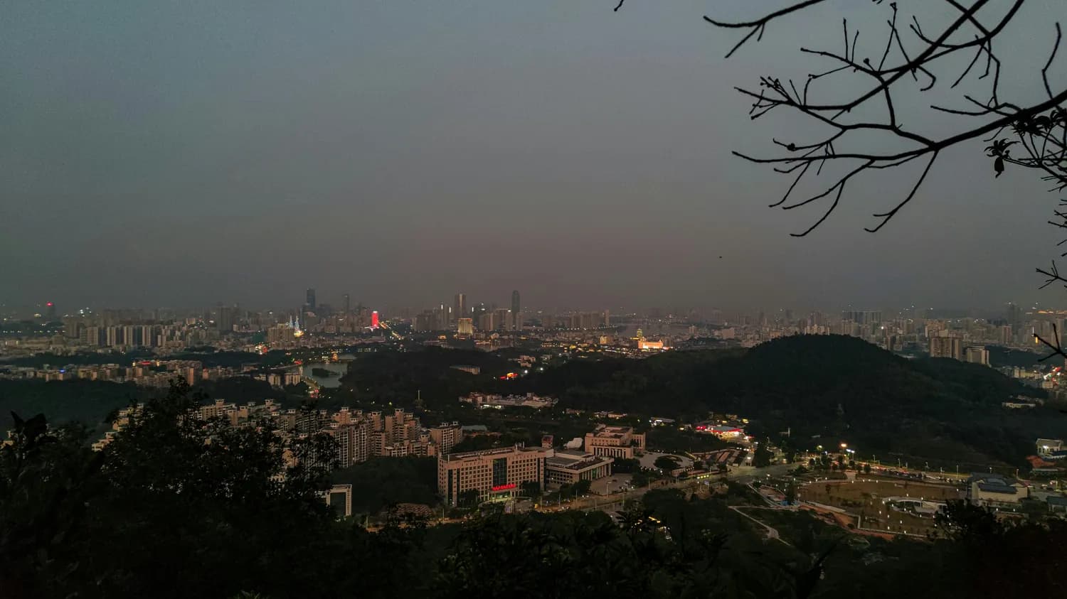 LED灯具点亮绿色森林：技术优势与应用实践