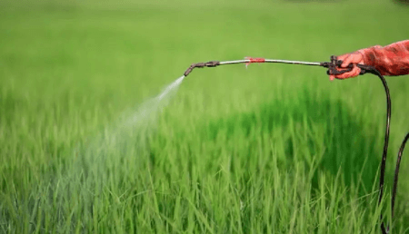 餐桌安全必修课—农药残留的正确认识与应对