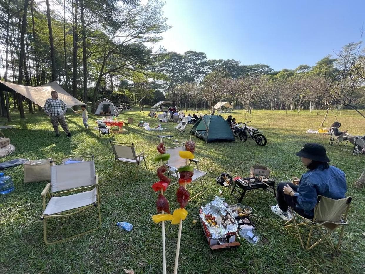 露营烧烤攻略大全！