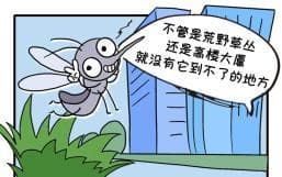 嗡嗡嗡！蚊子怎么总叮你？答案竟然是……