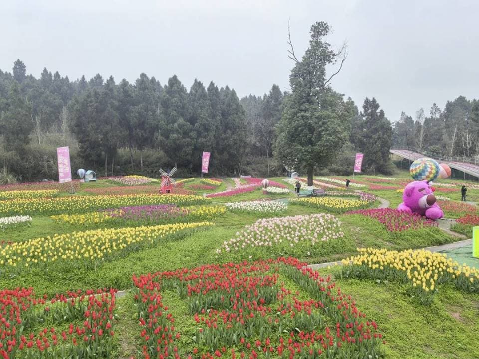 赏花+温泉 四川资阳雁江区解锁春日新玩法