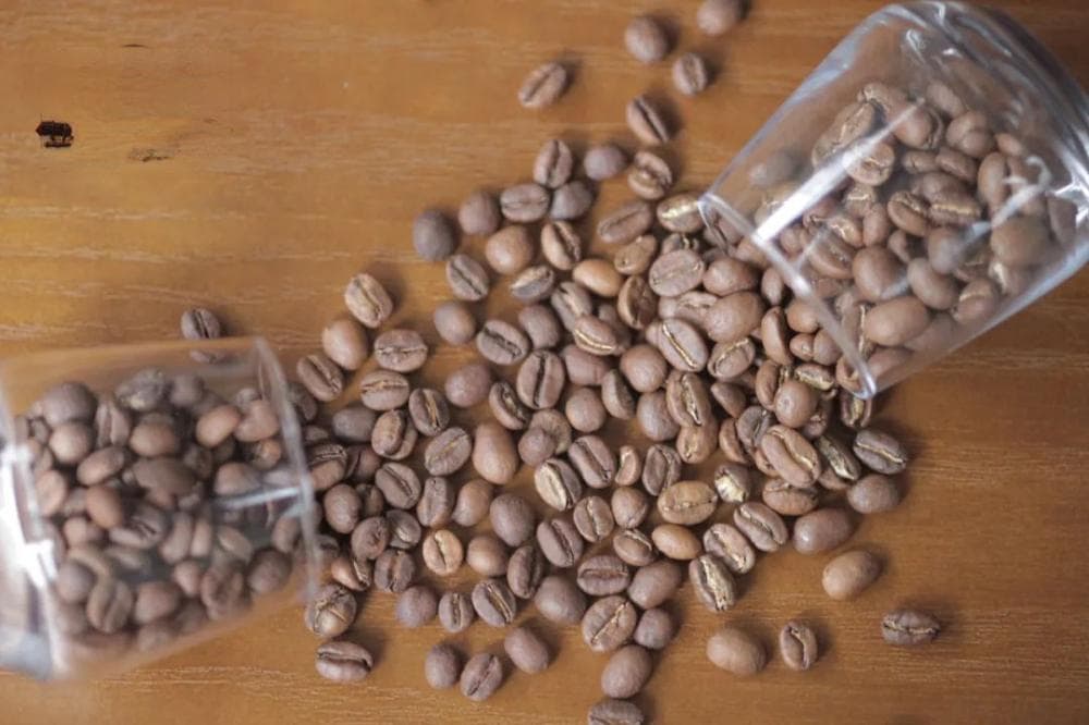 耶加雪啡（Yirgacheffe）咖啡产地等级划分品种水洗咖啡豆风味介绍