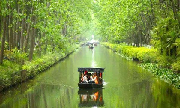 合肥周边6处夏季露营地推荐：从滨湖湿地到岱山湖