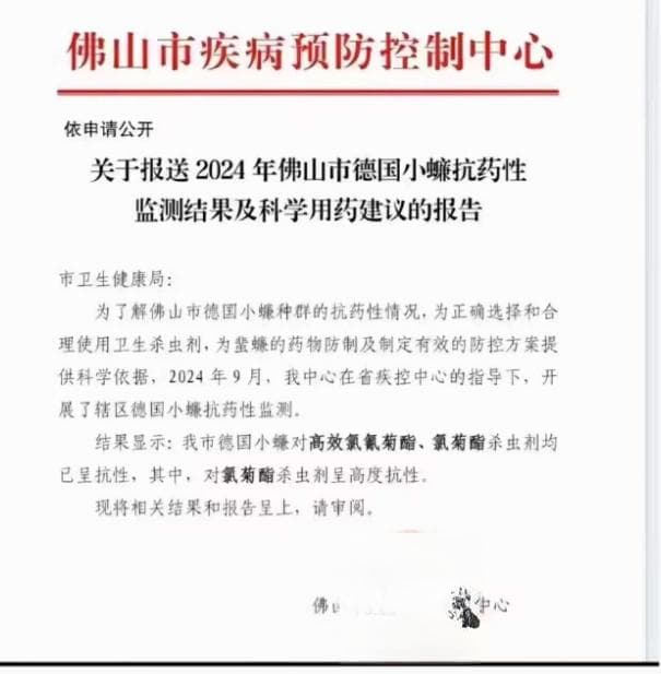广东蟑螂又进化了？请收下这份专业灭蟑宝典