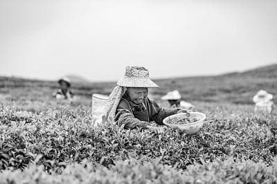 你可知道，一年365天有多少值得关注的日子