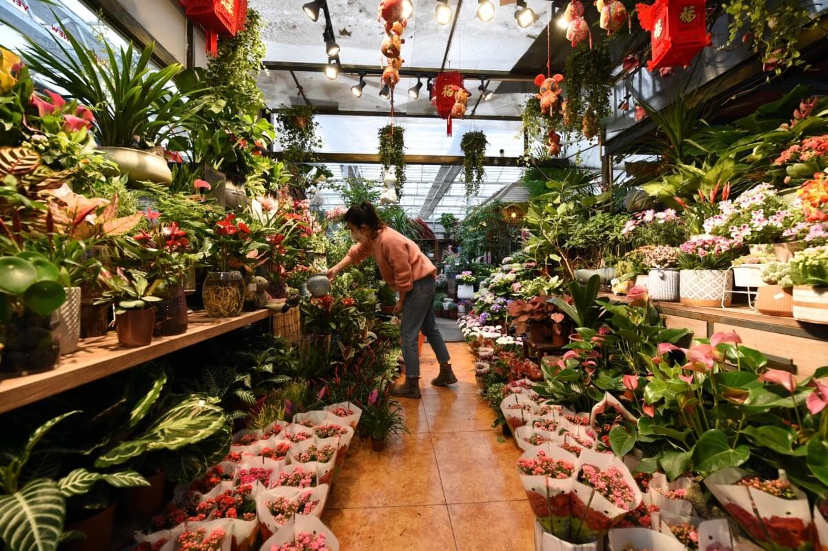 买龟去哪里买比较靠谱？5 个渠道推荐，看完少吃亏！
