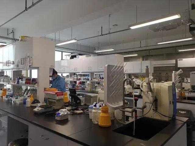 纳米机器人精准靶向肿瘤，赋权改革加速科研成果转化