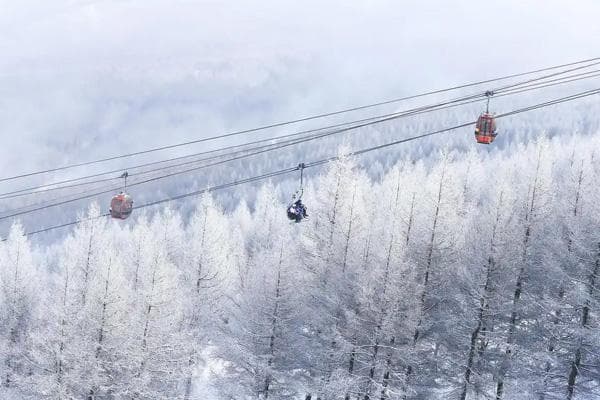 张家口7大景点全攻略：从滑雪到温泉，领略塞外山城的自然人文之美