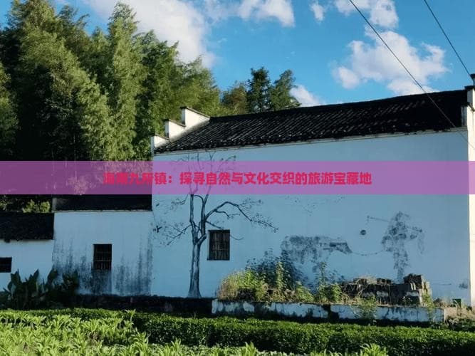 海南九所镇：探寻自然与文化交织的旅游宝藏地
