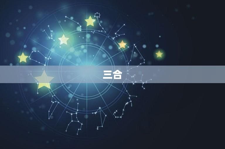 生肖三合6合表对照表(详解十二生肖三合大介绍)