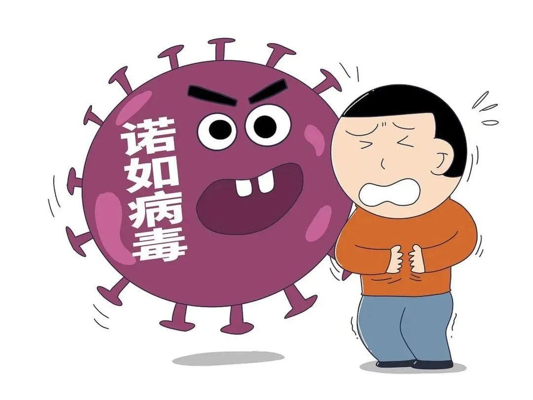 上吐下泻可能是“诺如”惹的祸