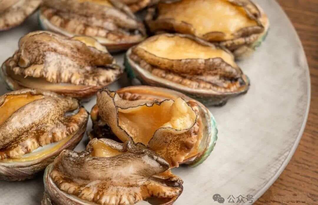 鲍鱼制作方法及配料？低温慢煮才是正解，很多人不知道，建议收藏