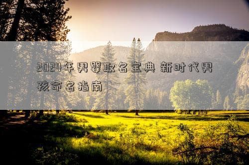 2024年男婴取名宝典 新时代男孩命名指南