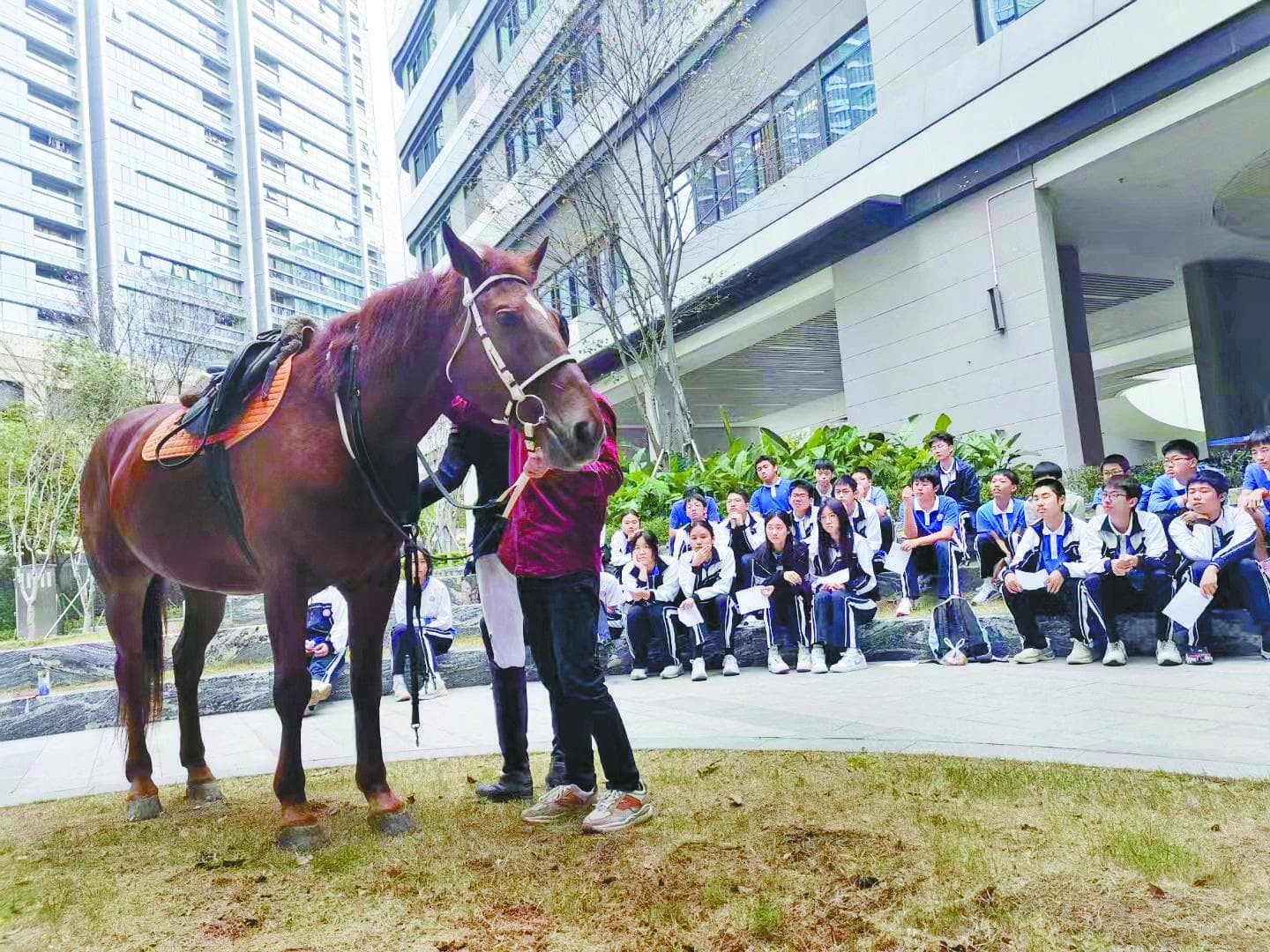 小众体育进校园，“马”上出发