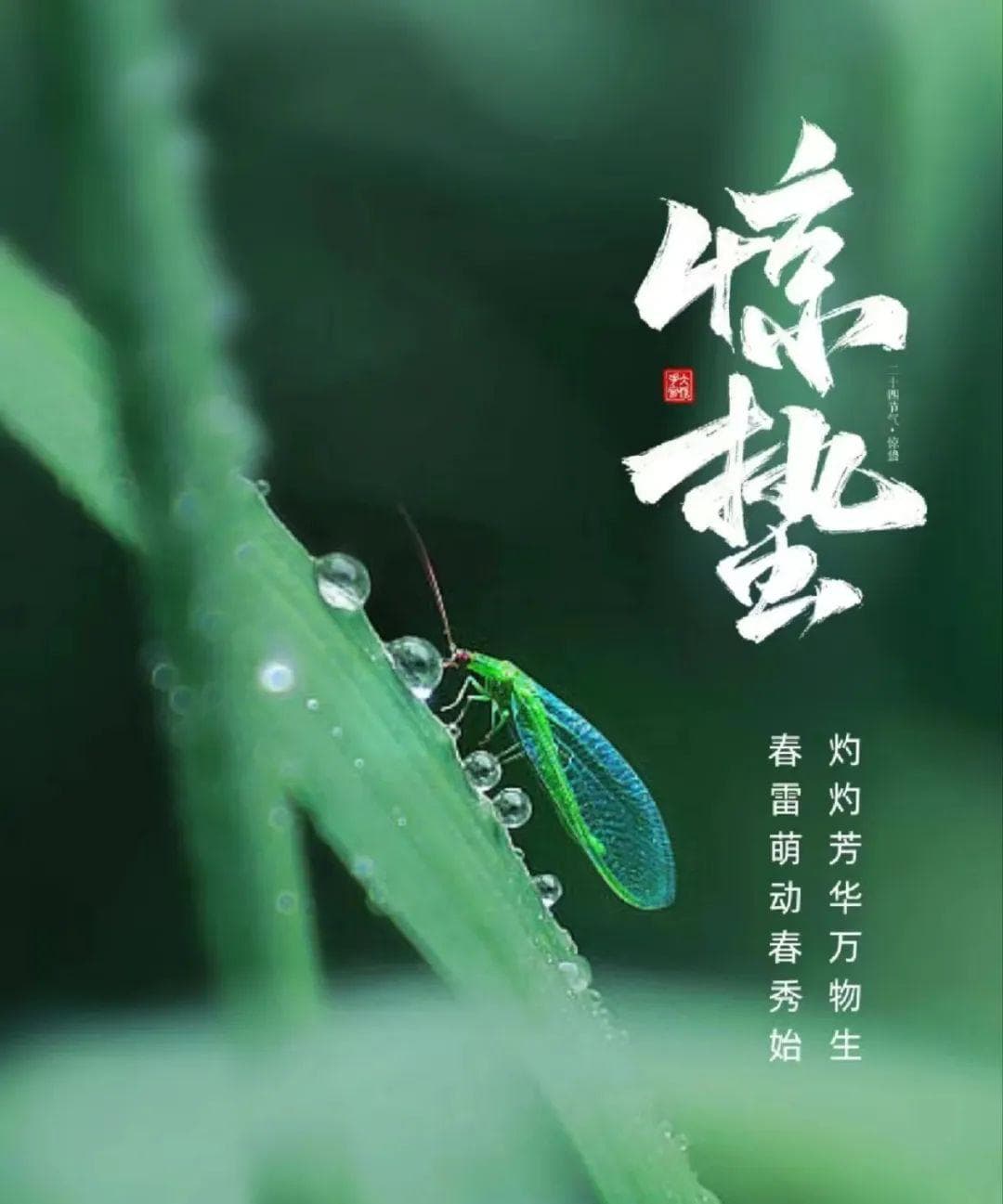 惊蛰轻启，养生正当时