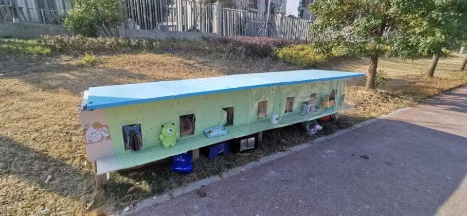 社区搭建“流浪猫集体宿舍”，多元共治让治理更有“温度”
