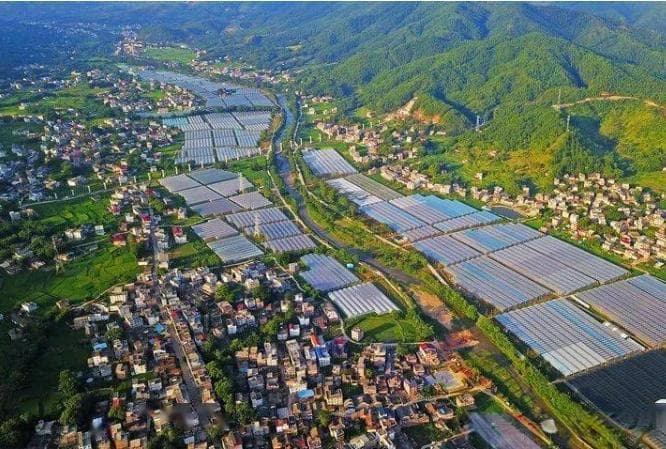 破解乡村产业振兴政策执行难题：F县H镇的四维度路径探索