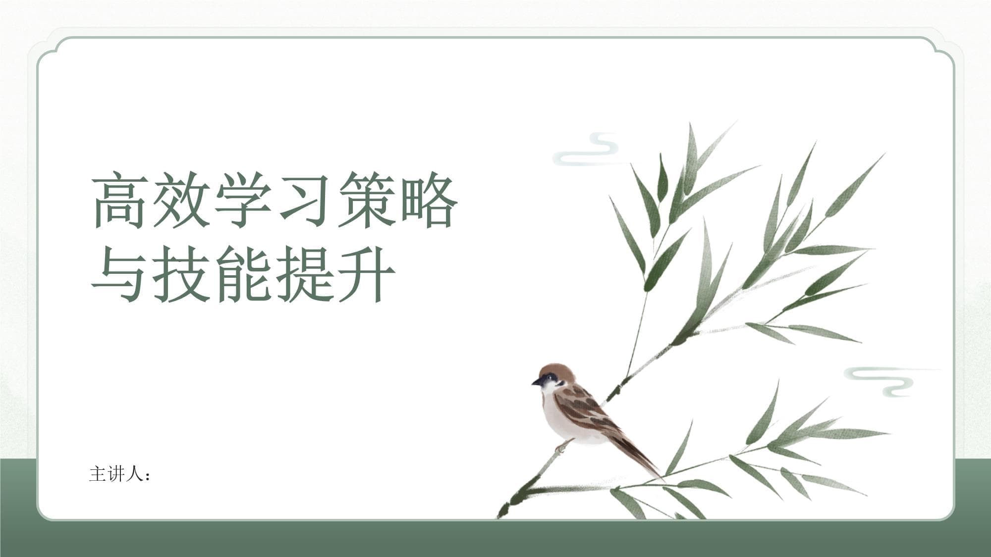高效学习策略与技能提升