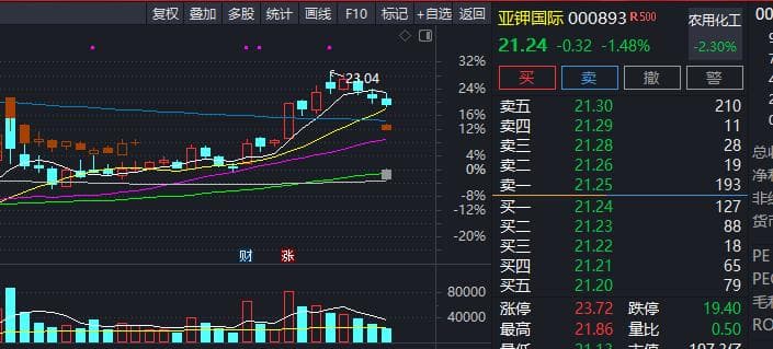 亚钾国际：中资企业海外寻钾的先锋与老挝钾盐开发的未来