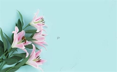 12生肖的命运与本命佛详解：生肖运势与佛教文化解析