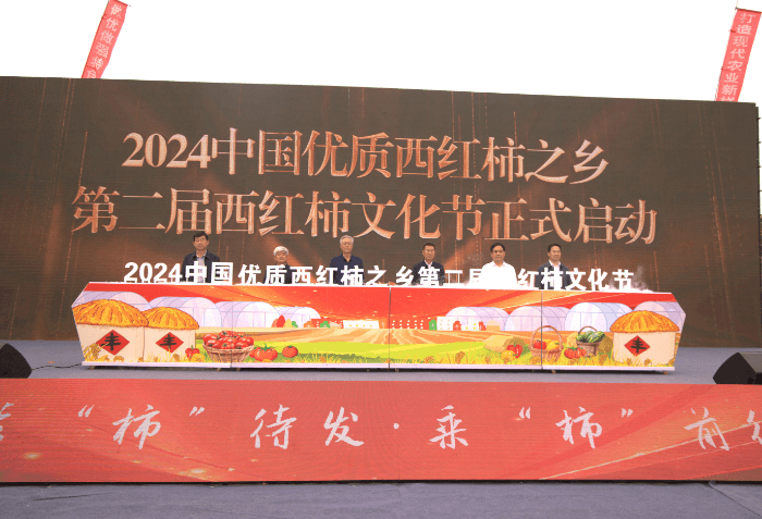 2024中国优质西红柿之乡第二届西红柿文化节在博兴店子镇启动