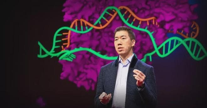 刘如谦最新论文：优化LNP递送RNP，实现更安全更高效的碱基编辑和先导编辑